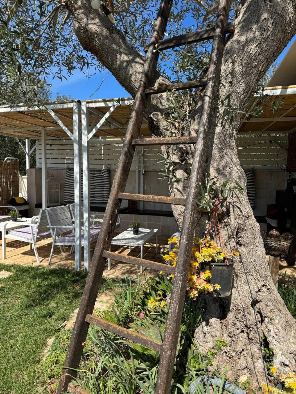 Bed and Breakfast Dimora Ducabianco Monopoli Zewnętrze zdjęcie